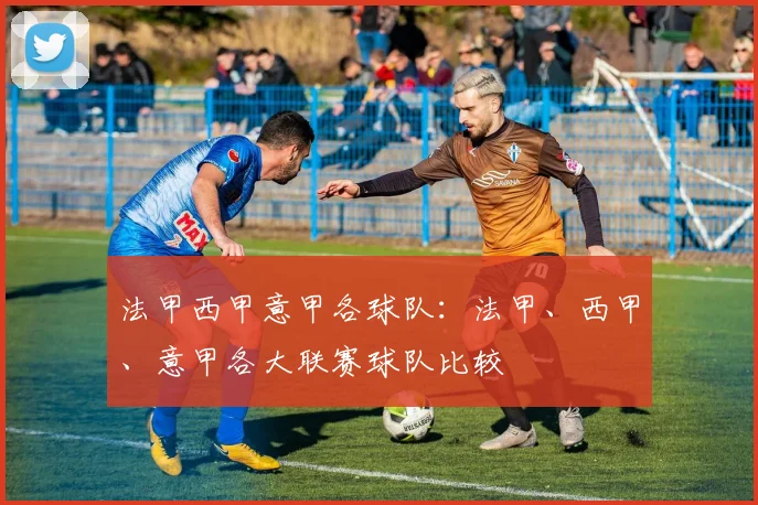 法甲西甲意甲各球队：法甲、西甲、意甲各大联赛球队比较