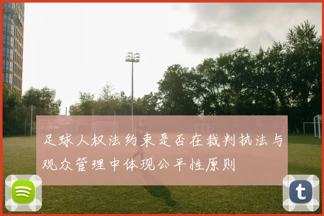 足球人权法约束是否在裁判执法与观众管理中体现公平性原则