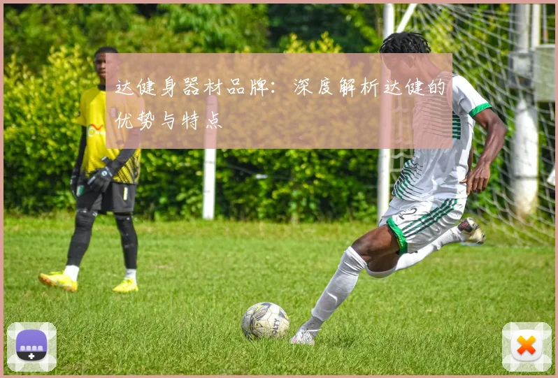 达健身器材品牌：深度解析达健的优势与特点