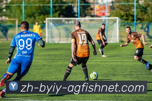 AG捕鱼王官网发展历程