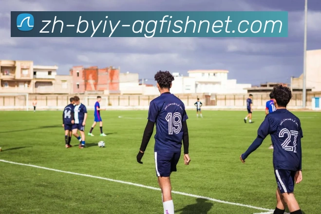 最新赛季德甲球队在欧战中的表现综述