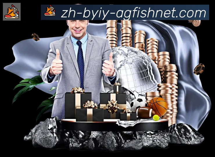 登录器
